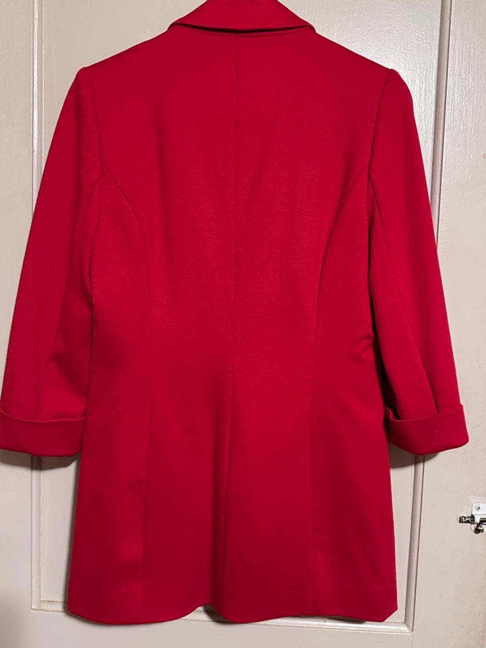 Women’s Blazer (Oversized fit) - Picture 4 of 6